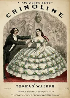 Obtain: Words About Crinoline