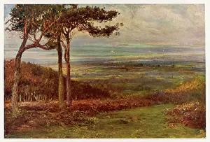 Wordsworth: WORDSWORTH/ALFOXDEN