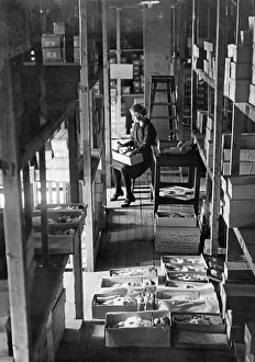 Packer: Worker in a toy factory, 1935