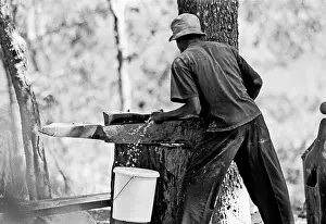 Harare: Worker washes sculpture