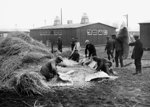 Fill: Workers fill bags with straw, 1935