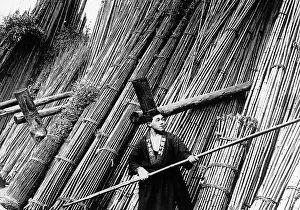 Bamboo: Workers in a bamboo depot, 1930