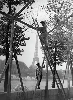 Reine: Workers during the construction of the pavilions