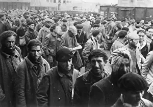 Bordeaux: Workers at a German fortification at the Atlantic, 1943