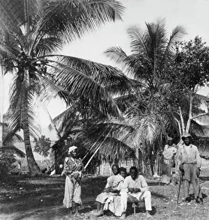Grayham Chayney: Workers in a palm grove, Jamaica