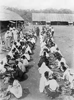 Squat: Workers on a rubber plantation, 1937