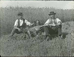 Workers sitting in wheat field