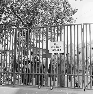 Olah: Workers on strike