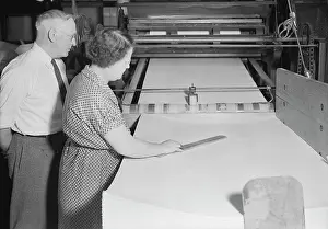 1930 1939: Workers using a Finley cutter at the American