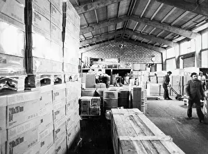 Storehouses: Workers in wholesale warehouse