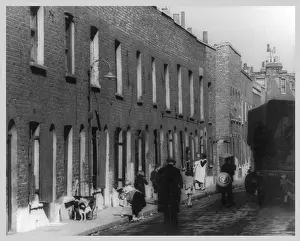 Dustbin: WORKING CLASS STREET
