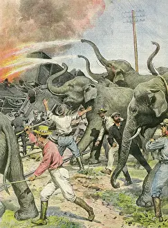 Extinguish: WORKING ELEPHANTS 1907