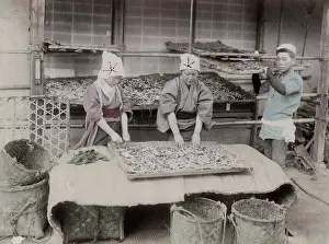 Worms: Working with silk worms, Japan
