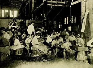 Cannery: Working in Vegetable Cannery Preparing Beans