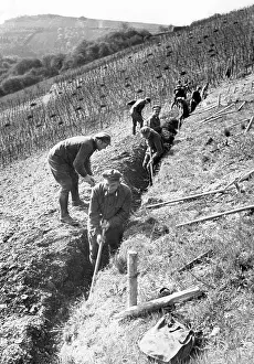 Freiwilliger: Working volunteers trenching, around the 1930s