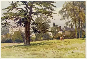 Worksop: WORKSOP MANOR