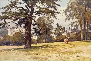 Worksop: Worksop Manor