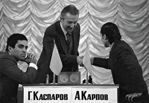 Chess: World chess championship match