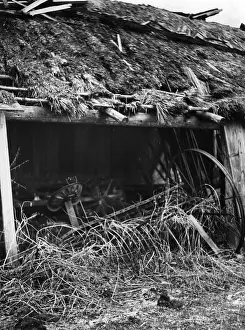 Eifel: World Economic Crisis, 1931