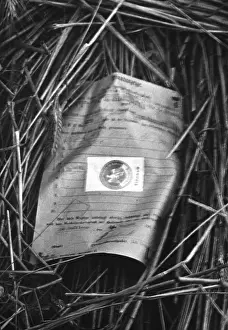 Seals: World Economic Crisis, 1932