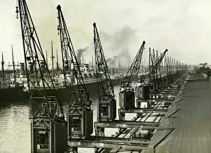 Cranes: World Economic Crisis, 1932