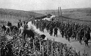Lcgr0113: World War 1. Civilians working in a vineyard of