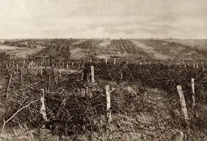 Relied: World War 1. Miles of barbed wire forms a maze