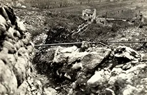 Selz: World War I