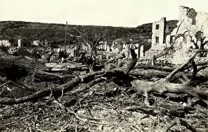 Selz: World War I