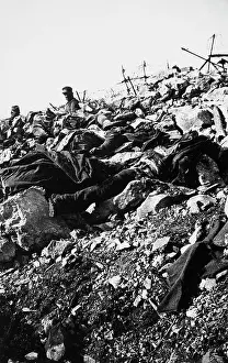 Selz: World War I