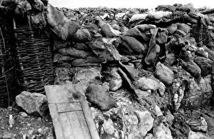 Selz: World War I