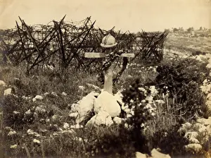 Venetia: World War I