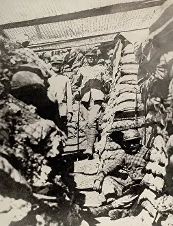 Venetia: World War I