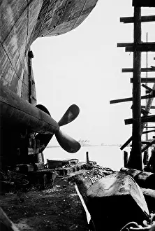 Triestino: World War I