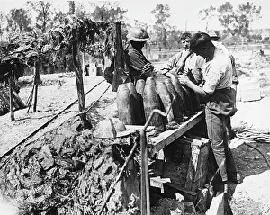 Fuses: World War I