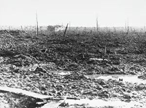 Desolation: World War I