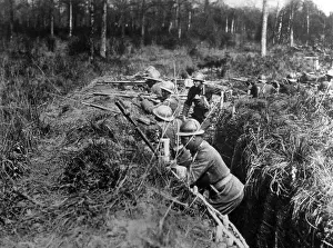 369th: World War I, the African-American 369th ?