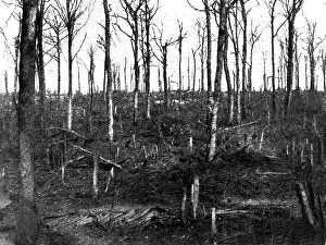 Namely: World War I - Verdun