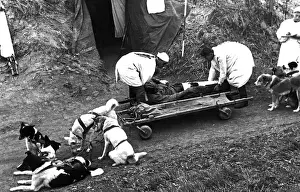 Sled: World War II, 1942