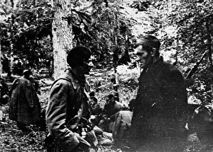 Sutjeska: World War II