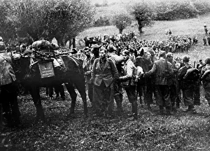 Mirko: World War II