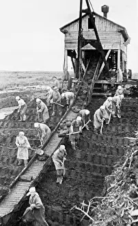 Turf: World War II