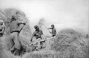 Kazimir: World War II