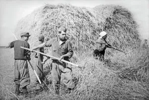 Kazimir: World War II