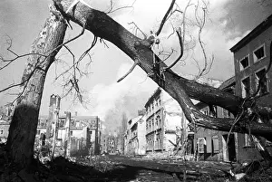 Fightings: World War II