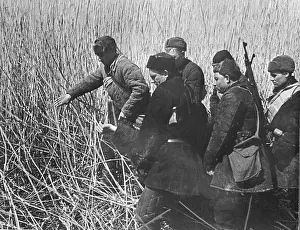 Partisans: World War II