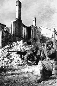 Nests: World War II