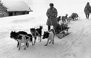 Sled: World War II