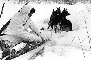 Sled: World War II