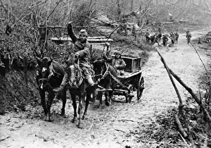Collapse: World War II: Collapse of the Wehrmacht offensive